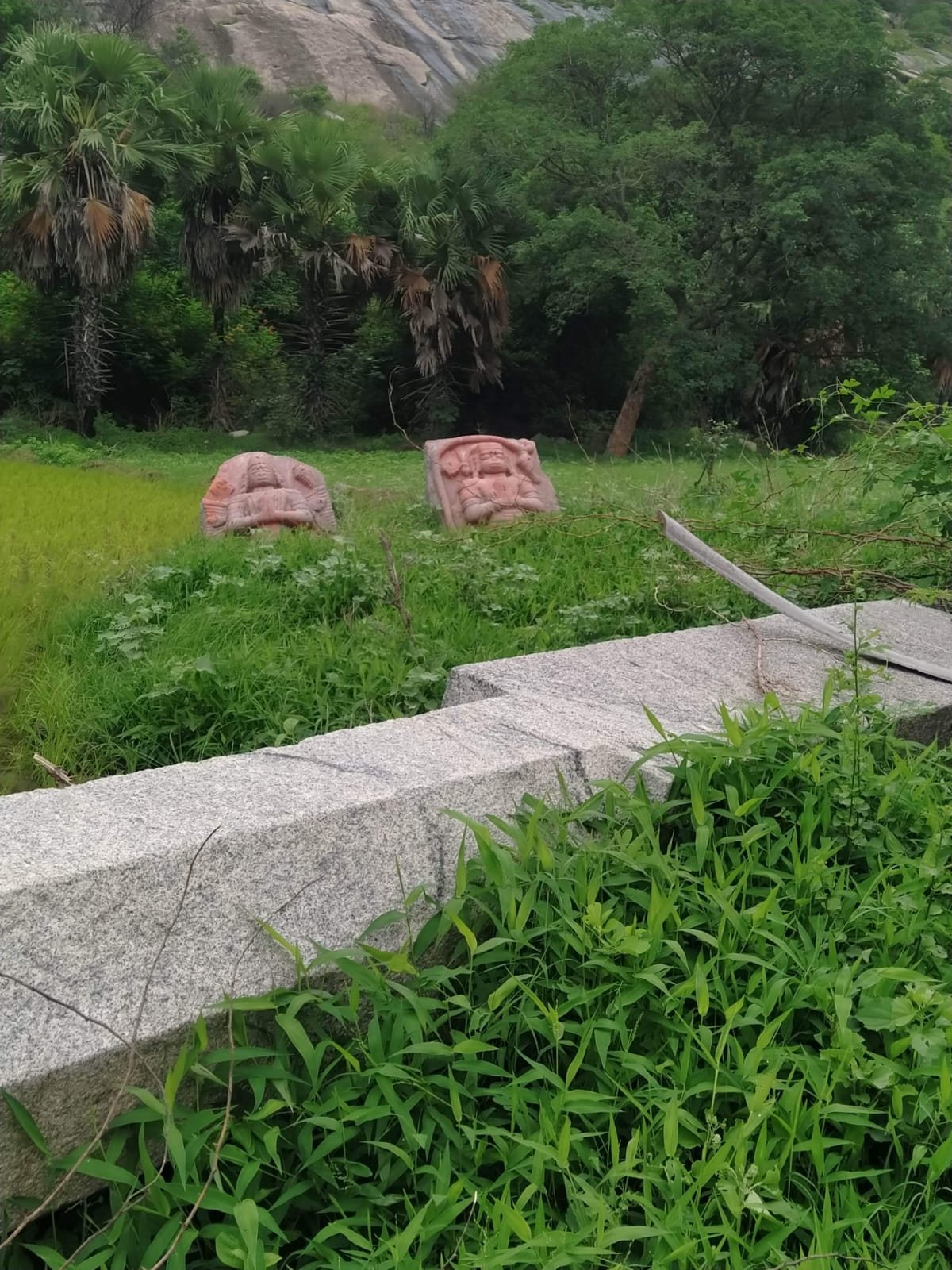 The broken sections of the pillar lying in the grass