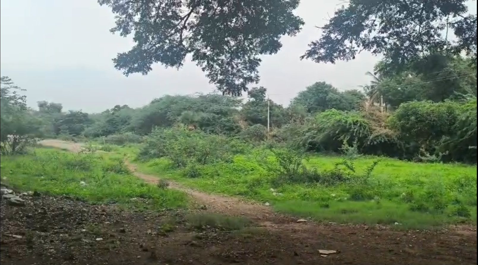 The land at the foot of the Velpugonda hill, Zafargadh